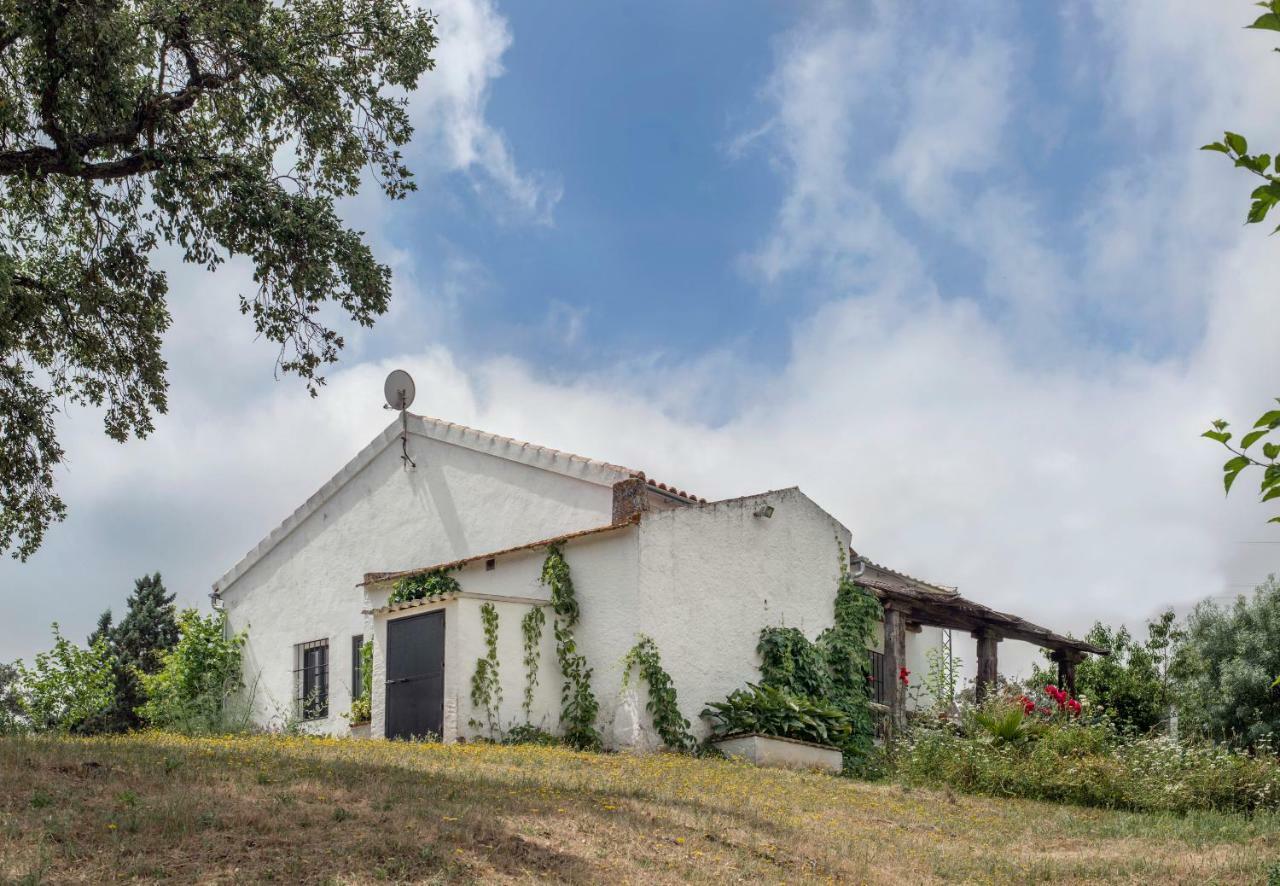 La Umbria De La Ribera Guest House El Pedroso Exterior photo