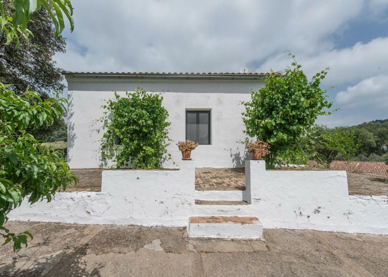 La Umbria De La Ribera Guest House El Pedroso Exterior photo