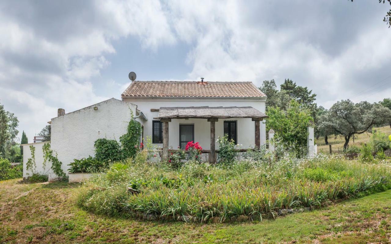 La Umbria De La Ribera Guest House El Pedroso Exterior photo